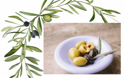Cómo se elaboran las aceitunas rellenas: proceso paso a paso